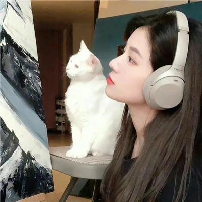 王牌剑客