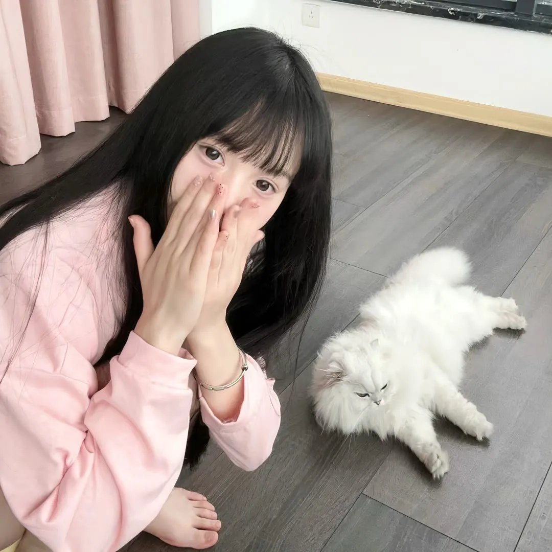 神枪少女第二季