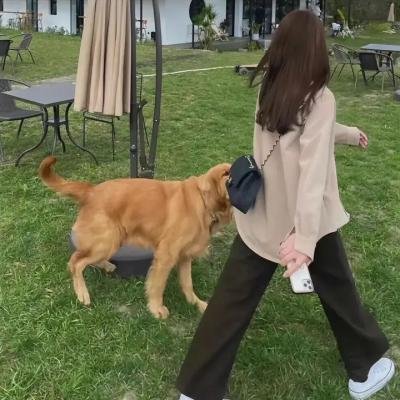 失衡生活